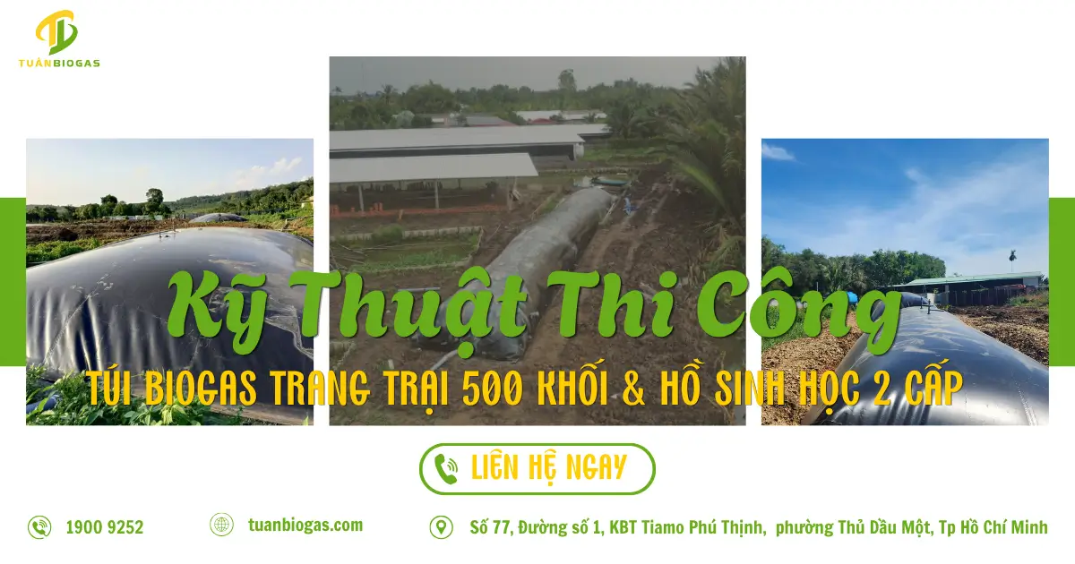 Kỹ Thuật Thi Công Túi Biogas Trang Trại 500 Khối & Thiết Kế Hệ Thống Hồ Sinh Học 2 Cấp Đạt Chuẩn